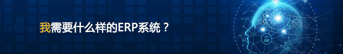 ҪһʲôӵERPϵy(tng)