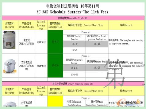 項(xiàng)目進(jìn)度報(bào)表1
