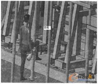 ����������ס�ò�����D