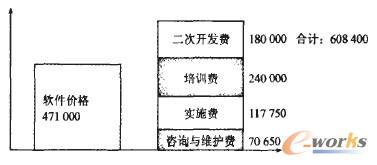 ERP項(xiàng)目費(fèi)用結(jié)構(gòu)圖