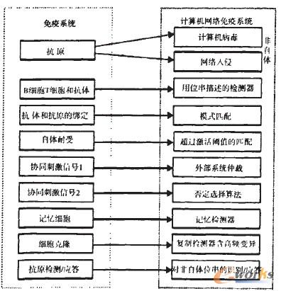 �D2 �˹����ߺ;W(w��ng)�j(lu��)�z�yϵ�y(t��ng)��ӳ���P(gu��n)ϵ