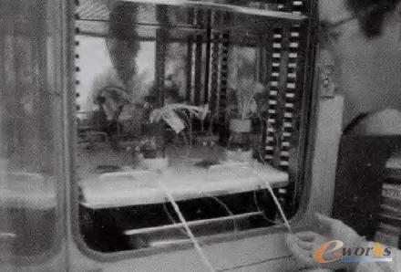 �����ӡ�C