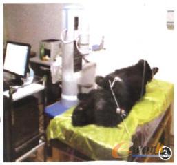 微波消融手術(shù)機(jī)器人系統(tǒng)