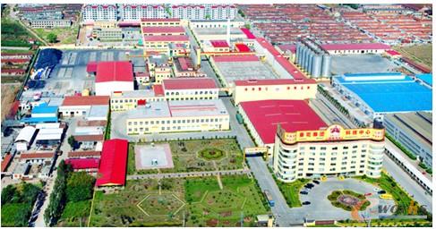 �D1 ɽ�|�������F���޹�˾