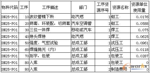 產(chǎn)品DN25-P01的ERP工藝路線