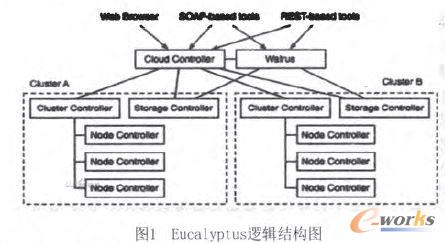 Eucalyptus߉݋�Y(ji��)��(g��u)�D