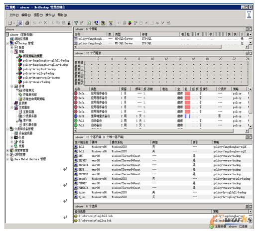 圖3 對虛擬主機(jī)及物理主機(jī)進(jìn)行策略備份