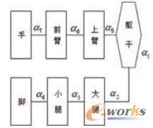 ���wģ��֫�w�ӴνY(ji��)��(g��u)