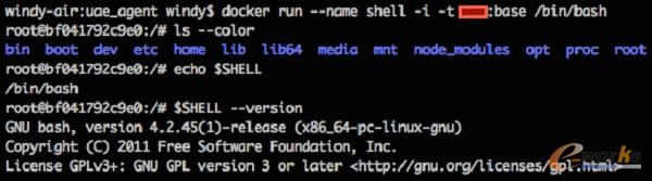 執(zhí)行Shell終端的Container