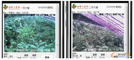 �D5 �r(n��ng)�I(y��)�����֙C(j��)�O(ji��n)�؈D