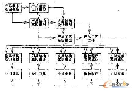產(chǎn)品生命過程中的基因模型的演變過程