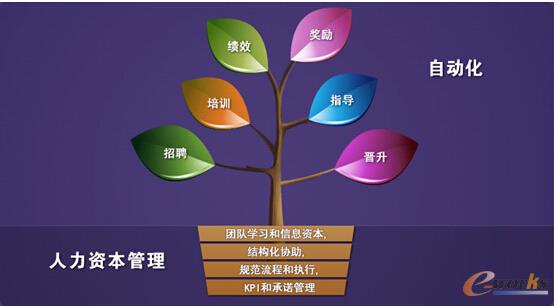 ���(zh��n)�������YԴ����ǰ�M(j��n)��8thManage HR����I(y��)�����YԴ�����ɹ��D(zhu��n)��