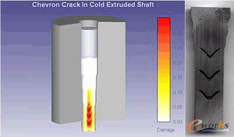 �D5 �������D������