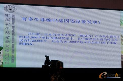   ꐝ���Ժʿ���˹����ܺʹ�(sh��)����δ��������t(y��)����