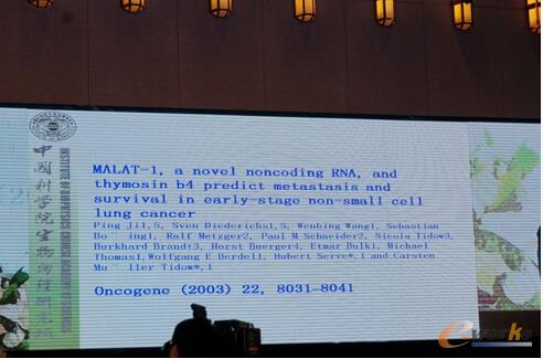  (�L朷Ǿ��aMALAT-1 RNA�c�ΰ����Pϵ)