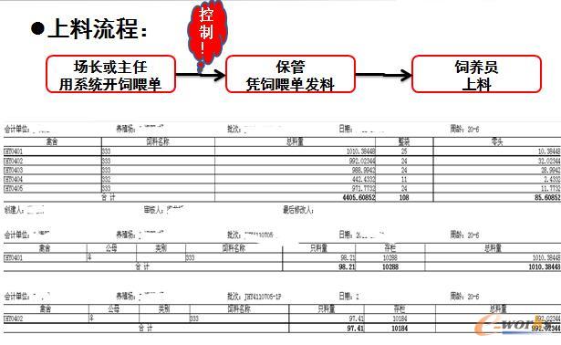 �D4 �������̿���