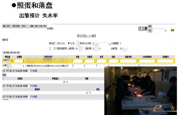 �D7 �յ�����P����