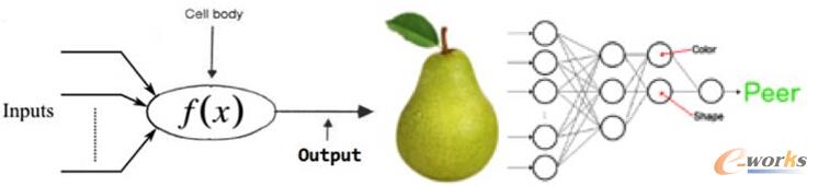 �D���������ɫ���Π