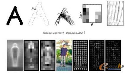 Hog��Dalal��2005