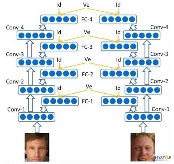  Li�� Tang etl�� 2014-2015