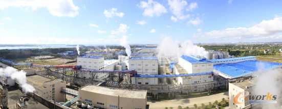 圖1 廣西金桂漿紙業(yè)有限公司